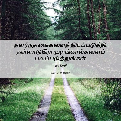 Picture 06 - ஏசாயா 35:3 TAMIRV - தளர்ந்த கைகளைத் - Bible Verse Picture
