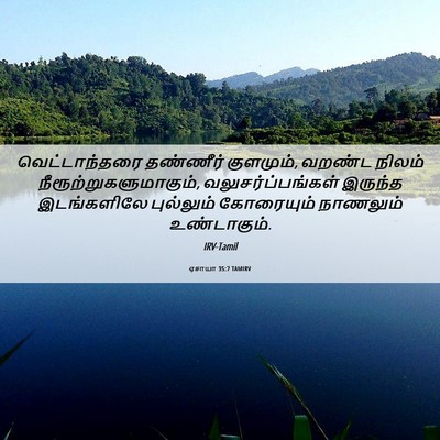 Picture 06 - ஏசாயா 35:7 TAMIRV - வெட்டாந்தரை - Bible Verse Picture