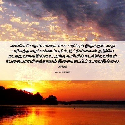 Picture 06 - ஏசாயா 35:8 TAMIRV - அங்கே - Bible Verse Picture