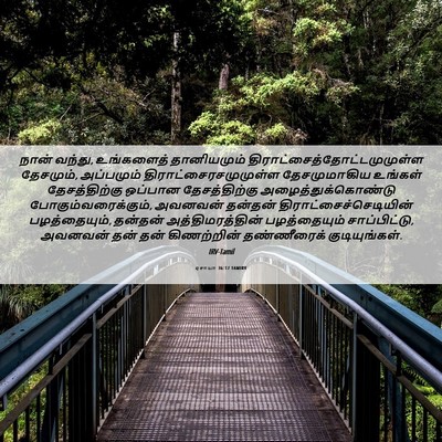 Picture 06 - ஏசாயா 36:17 TAMIRV - நான் வந்து, - Bible Verse Picture