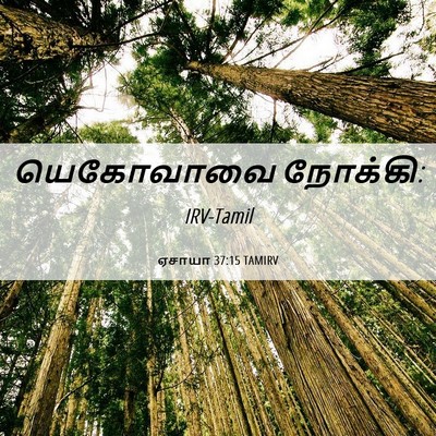Picture 06 - ஏசாயா 37:15 TAMIRV - யெகோவாவை - Bible Verse Picture