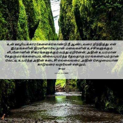 Picture 06 - ஏசாயா 37:24 TAMIRV - உன் - Bible Verse Picture