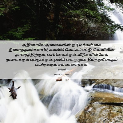 Picture 06 - ஏசாயா 37:27 TAMIRV - அதினாலே அவைகளின் - Bible Verse Picture