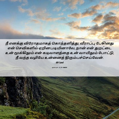Picture 06 - ஏசாயா 37:29 TAMIRV - நீ எனக்கு - Bible Verse Picture