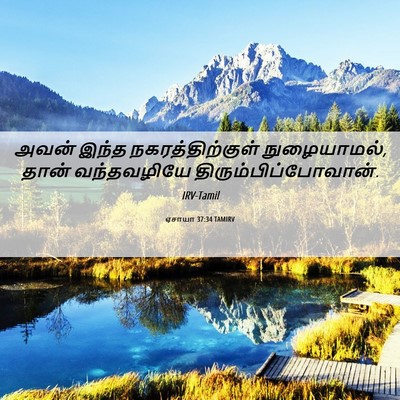 Picture 06 - ஏசாயா 37:34 TAMIRV - அவன் இந்த - Bible Verse Picture