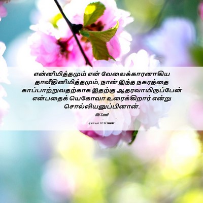 Picture 06 - ஏசாயா 37:35 TAMIRV - என்னிமித்தமும் - Bible Verse Picture