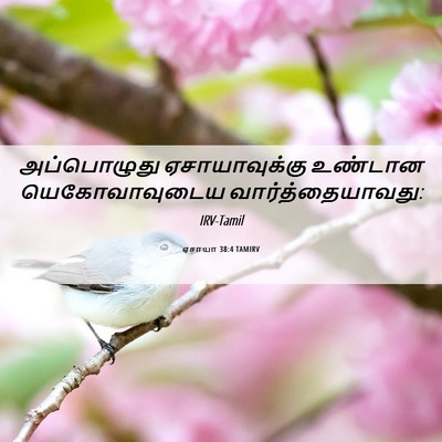 Picture 06 - ஏசாயா 38:4 TAMIRV - அப்பொழுது - Bible Verse Picture