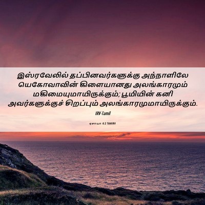 Picture 06 - ஏசாயா 4:2 TAMIRV - இஸ்ரவேலில் - Bible Verse Picture
