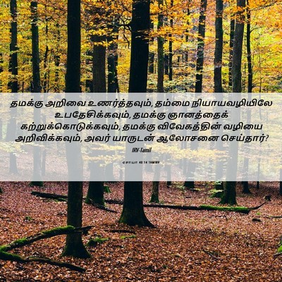 Picture 06 - ஏசாயா 40:14 TAMIRV - தமக்கு அறிவை - Bible Verse Picture