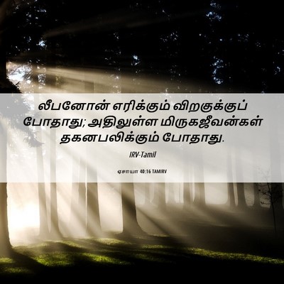Picture 06 - ஏசாயா 40:16 TAMIRV - லீபனோன் எரிக்கும் - Bible Verse Picture