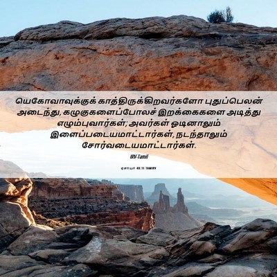 Picture 06 - ஏசாயா 40:31 TAMIRV - யெகோவாவுக்குக் - Bible Verse Picture