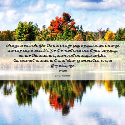 Picture 06 - ஏசாயா 40:6 TAMIRV - பின்னும் - Bible Verse Picture