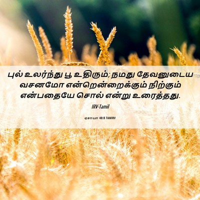 Picture 06 - ஏசாயா 40:8 TAMIRV - புல் உலர்ந்து பூ - Bible Verse Picture