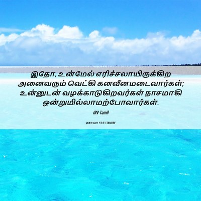 Picture 06 - ஏசாயா 41:11 TAMIRV - இதோ, உன்மேல் - Bible Verse Picture