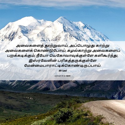 Picture 06 - ஏசாயா 41:16 TAMIRV - அவைகளைத் - Bible Verse Picture