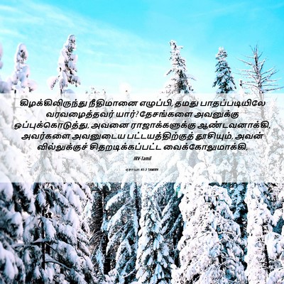 Picture 06 - ஏசாயா 41:2 TAMIRV - கிழக்கிலிருந்து - Bible Verse Picture