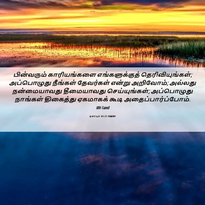 Picture 06 - ஏசாயா 41:23 TAMIRV - பின்வரும் - Bible Verse Picture