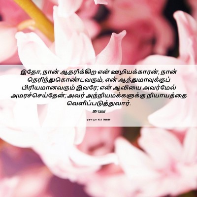 Picture 06 - ஏசாயா 42:1 TAMIRV - இதோ, நான் - Bible Verse Picture