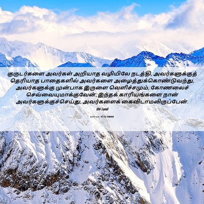 Picture 06 - ஏசாயா 42:16 TAMIRV - குருடர்களை - Bible Verse Picture