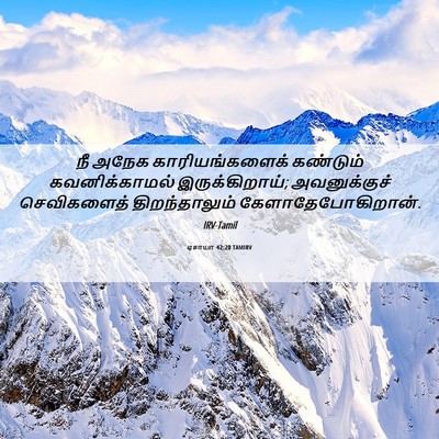 Picture 06 - ஏசாயா 42:20 TAMIRV - நீ அநேக - Bible Verse Picture