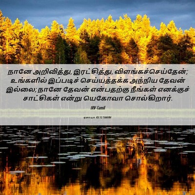 Picture 06 - ஏசாயா 43:12 TAMIRV - நானே அறிவித்து, - Bible Verse Picture