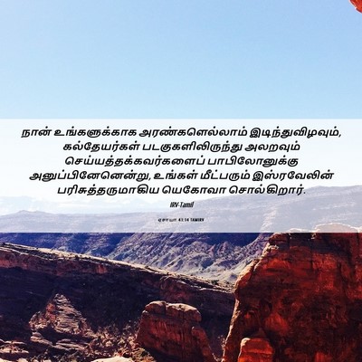 Picture 06 - ஏசாயா 43:14 TAMIRV - நான் உங்களுக்காக - Bible Verse Picture