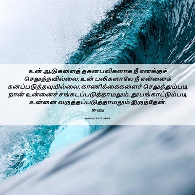 Picture 06 - ஏசாயா 43:23 TAMIRV - உன் ஆடுகளைத் - Bible Verse Picture