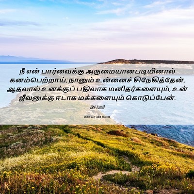 Picture 06 - ஏசாயா 43:4 TAMIRV - நீ என் பார்வைக்கு - Bible Verse Picture