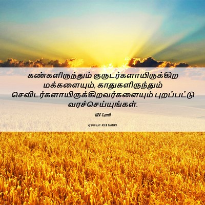 Picture 06 - ஏசாயா 43:8 TAMIRV - கண்களிருந்தும் - Bible Verse Picture
