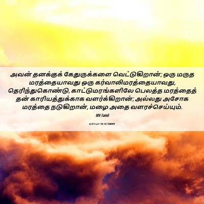 Picture 06 - ஏசாயா 44:14 TAMIRV - அவன் தனக்குக் - Bible Verse Picture