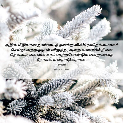 Picture 06 - ஏசாயா 44:17 TAMIRV - அதில் மீதியான - Bible Verse Picture