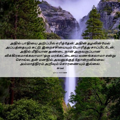Picture 06 - ஏசாயா 44:19 TAMIRV - அதில் பாதியை - Bible Verse Picture