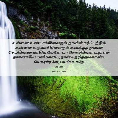 Picture 06 - ஏசாயா 44:2 TAMIRV - உன்னை - Bible Verse Picture