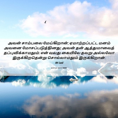 Picture 06 - ஏசாயா 44:20 TAMIRV - அவன் சாம்பலை - Bible Verse Picture