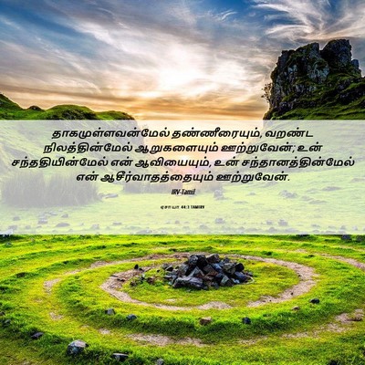 Picture 06 - ஏசாயா 44:3 TAMIRV - தாகமுள்ளவன்மேல் - Bible Verse Picture