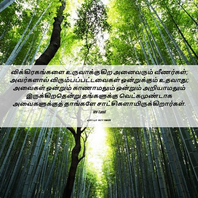 Picture 06 - ஏசாயா 44:9 TAMIRV - விக்கிரகங்களை - Bible Verse Picture