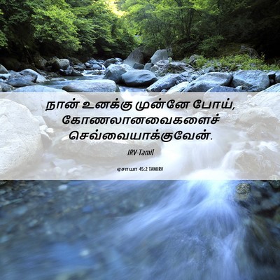 Picture 06 - ஏசாயா 45:2 TAMIRV - நான் உனக்கு - Bible Verse Picture