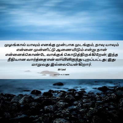 Picture 06 - ஏசாயா 45:23 TAMIRV - முழங்கால் யாவும் - Bible Verse Picture
