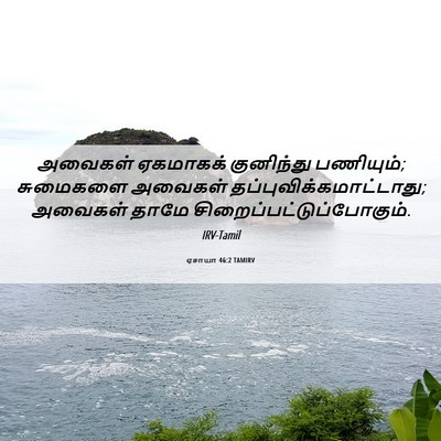 Picture 06 - ஏசாயா 46:2 TAMIRV - அவைகள் ஏகமாகக் - Bible Verse Picture