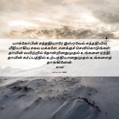 Picture 06 - ஏசாயா 46:3 TAMIRV - யாக்கோபின் - Bible Verse Picture