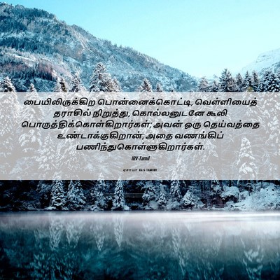 Picture 06 - ஏசாயா 46:6 TAMIRV - பையிலிருக்கிற - Bible Verse Picture