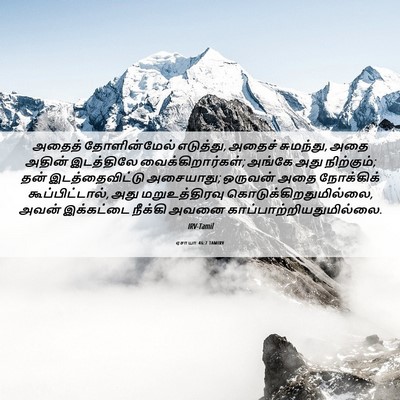 Picture 06 - ஏசாயா 46:7 TAMIRV - அதைத் தோளின்மேல் - Bible Verse Picture