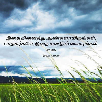 Picture 06 - ஏசாயா 46:8 TAMIRV - இதை நினைத்து - Bible Verse Picture