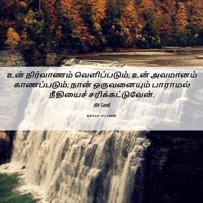 Picture 06 - ஏசாயா 47:3 TAMIRV - உன் நிர்வாணம் - Bible Verse Picture
