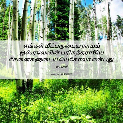Picture 06 - ஏசாயா 47:4 TAMIRV - எங்கள் மீட்பருடைய - Bible Verse Picture