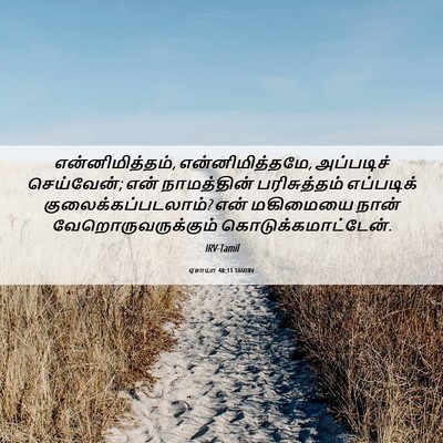 Picture 06 - ஏசாயா 48:11 TAMIRV - என்னிமித்தம், - Bible Verse Picture