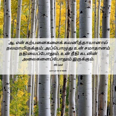 Picture 06 - ஏசாயா 48:18 TAMIRV - ஆ, என் கற்பனைகளைக் - Bible Verse Picture