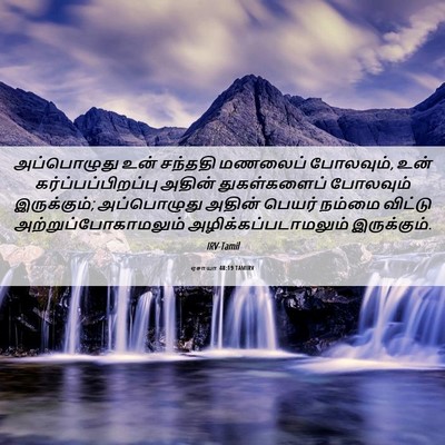 Picture 06 - ஏசாயா 48:19 TAMIRV - அப்பொழுது உன் - Bible Verse Picture