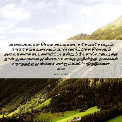Picture 06 - ஏசாயா 48:5 TAMIRV - ஆகையால்: என் சிலை - Bible Verse Picture