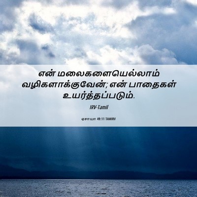 Picture 06 - ஏசாயா 49:11 TAMIRV - என் - Bible Verse Picture